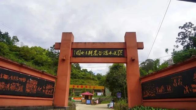 在茶园里发呆，在酒谷里听故事…旅居云县，静享慢时光