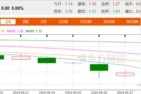 紧急增持B股逃离退市红线，海航控股彻底“脱险”了吗？图片