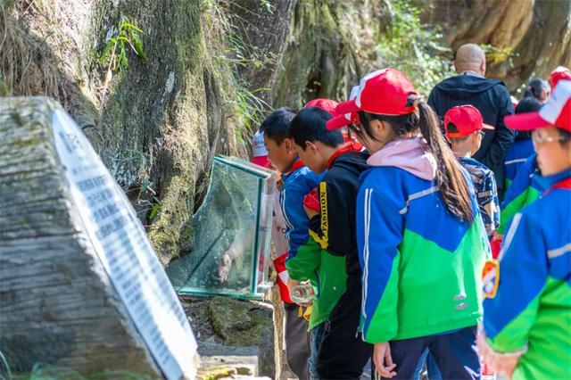 广元剑阁县迎来秋假文旅消费热潮 全域旅游效应凸显