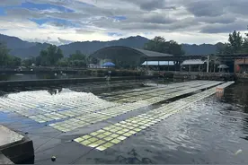 解锁太阳能“治水新技能” 西安新能源探索再添硬实力图片