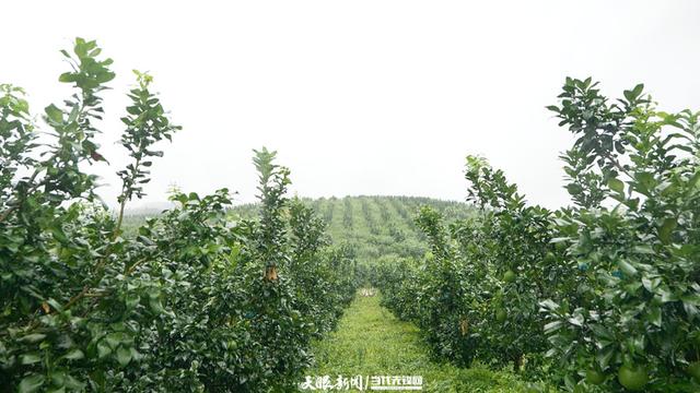 沿着公路找“彩蛋”③｜从路过到停下，这里是皮林村