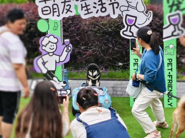 年末出游旺季，普陀适合“微度假”的场所都给你找好了