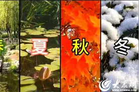 初冬时节，斑斓青岛入画来！图片