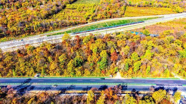 沈白高铁解锁吉林：秋之彩色吉林 层林尽染之美