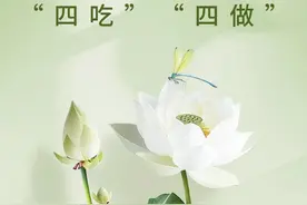 三伏将至，牢记“四吃” “四做”！图片