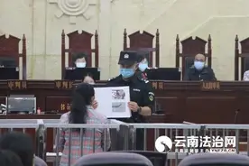 私自饲养保护鸟类被查获 女子被判刑罚款并参加公益劳动图片