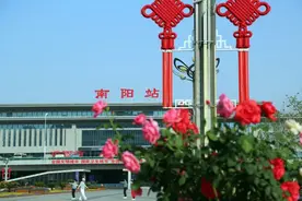 977~全面启动！南阳加开列车！图片