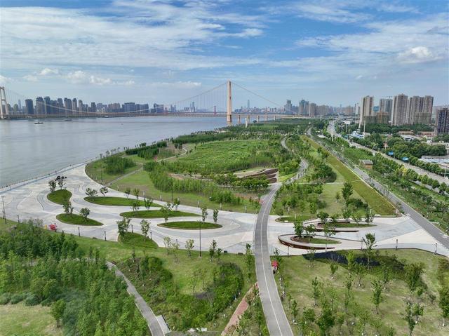 我的长江我的家｜洪山江滩：家门口的野趣花园