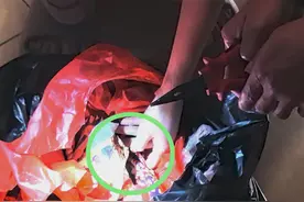 救我！我被一斤重的螃蟹夹住手了，它又在用力！我好痛啊～图片