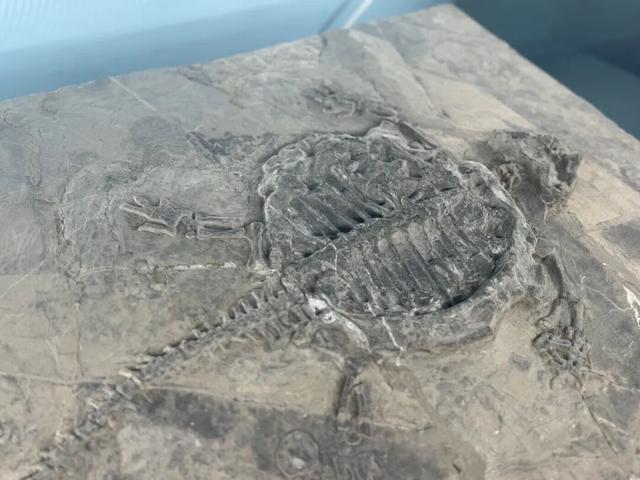 澜湄光影落曲靖，五张名片藏着这座城的“镜头语言” 一起来曲靖取景