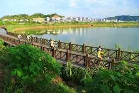 扫除“空中蜘蛛网”，杭州持续擦亮美丽乡村“天际线”图片