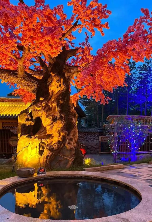 延边暖冬之旅！一篇“泉”知道！