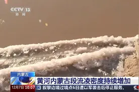 长度达380多公里 黄河内蒙古段流凌密度持续增加图片
