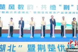 “数商兴农进湖北”活动探索农产品数字化之路图片