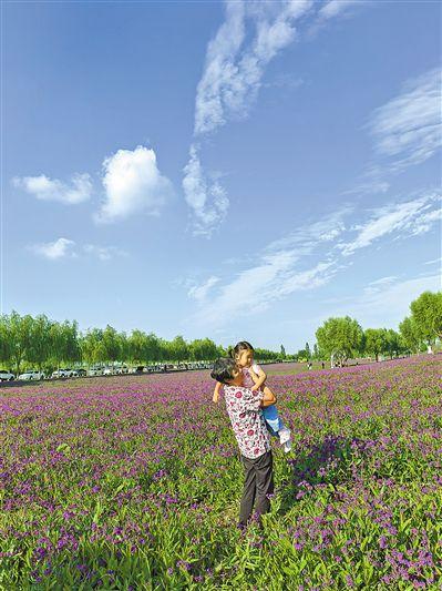 呼和浩特：花色倾城