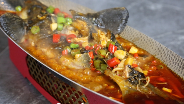 梅花开了！来这条精选的怀柔区郊游线路感受春意盎然