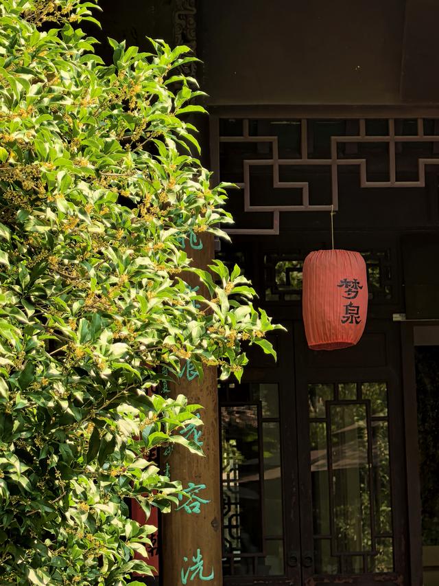 晚潮｜桂语幽境