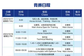 国际马术比赛本周末将在泉城打响，这份“观赛秘籍”助您看懂马术图片