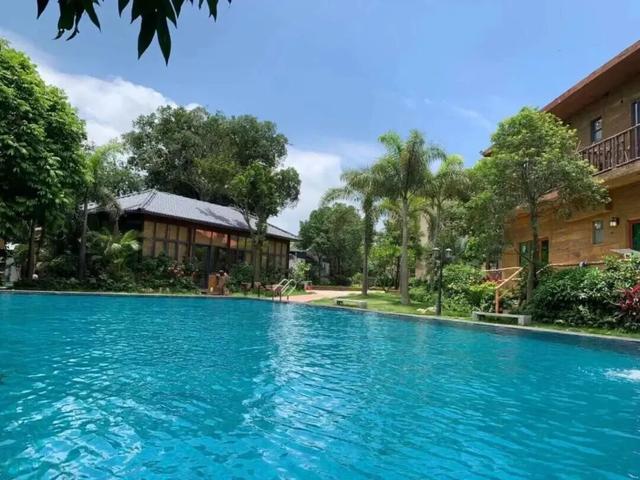 11月的清城，有大动作→