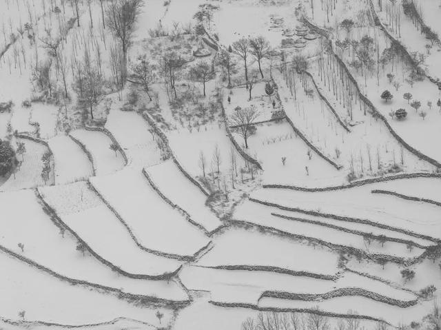 好看新乡 | 雪落南太行，邂逅一场冬日旷世奇景