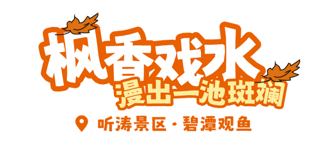 东湖这四处绝美秋景，出片率100%