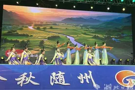 广水：夜晚“亮”起来 消费“火”起来图片