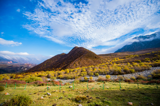 【秋日青海】西宁群加的秋，是风写在山林里的诗