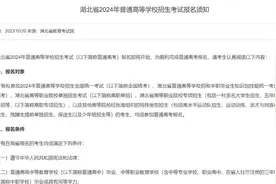 2024年湖北高考11月8日起网上报名图片