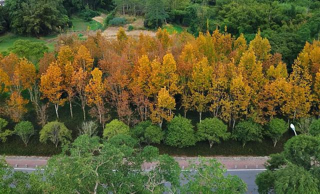 WOW，柳州超多赏秋打卡地，随手出大片！