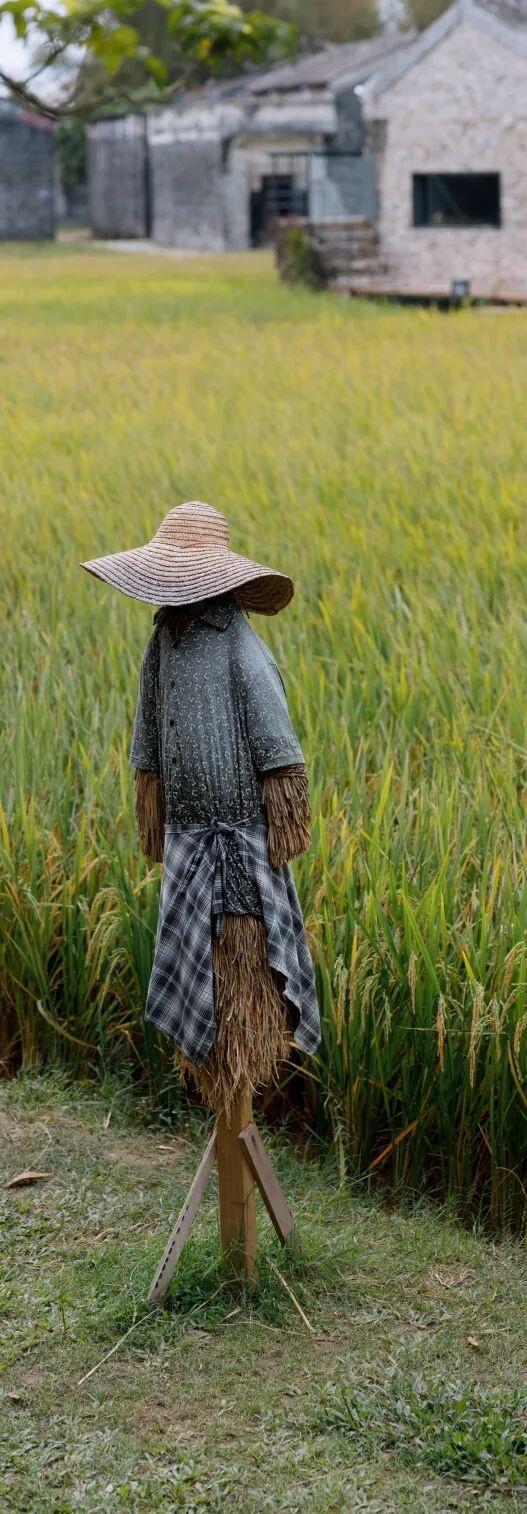 碉楼秋韵，揽胜塘口！快来开平这里把整个秋天“揽"入怀中