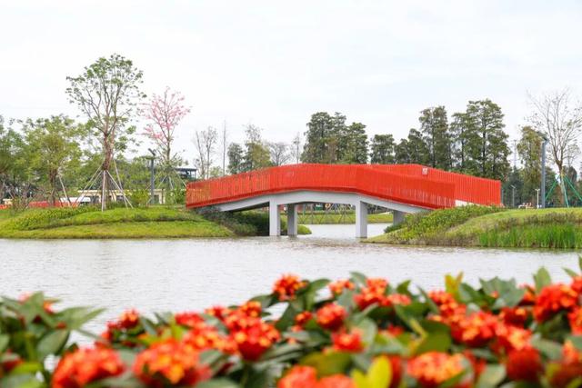 来东莞这片金色稻田，饮啡叹茶！
