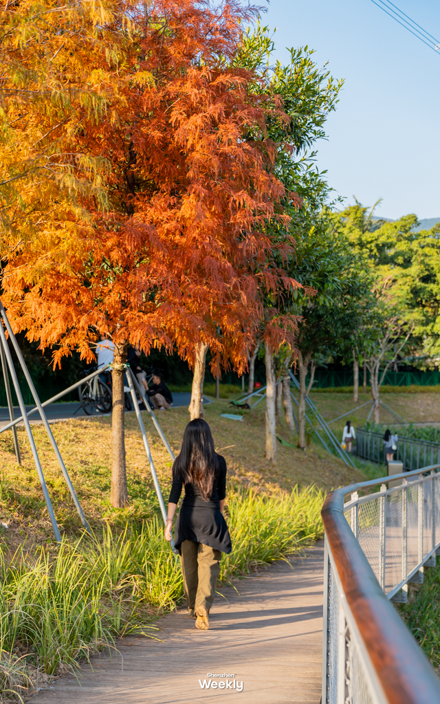 出发！去深圳最特别的「胖虎主题市集」，逛吃一天