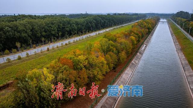 一年四季 泉在济南丨秋染玉符河，槐荫生态美如画