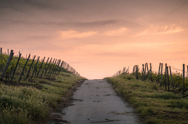 《星星》头条诗人 | 许氶 ：一个人的行走及其他