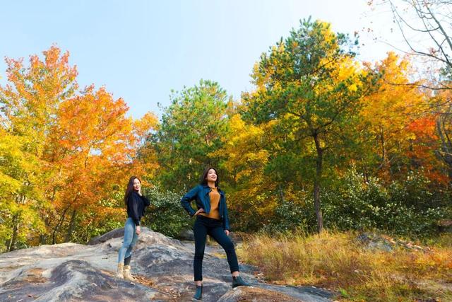 秋天来罗田，好“柿”正发生！