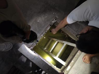 旅业场所如何防蚊灭蚊？指南来了→