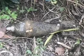 又一起！上海老人田间干活挖出“金属疙瘩”：系一枚高射炮弹，炸药保存完好图片