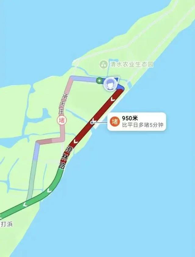 沪牌大军集体出动！这里堵车堵到猪肝红！出门导航1个半小时，实际开车4小时