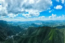 白鹇山麂“同框”觅食  上演生态和谐大戏！图片