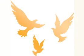 大冶实验高中征集校友信息和校史馆藏品启事图片