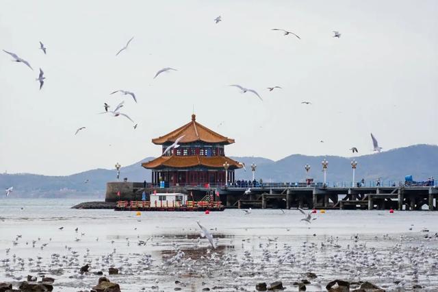 来青岛的理由+1！高铁旅游计次票升级啦