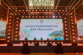 2025重庆春季优质旅游资源推介活动暨2025丰都庙会启动仪式举行图片