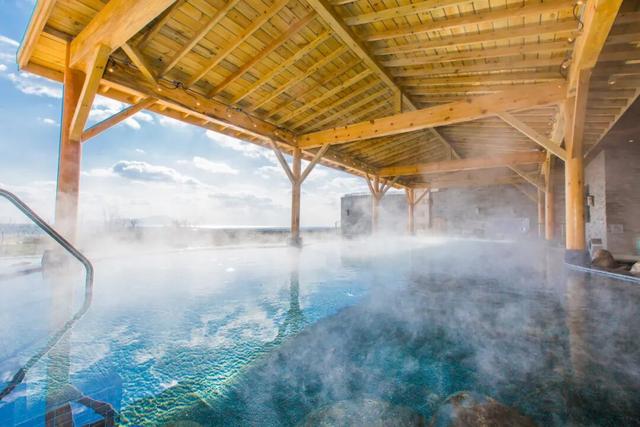 不如就来青岛过冬天！观鸥、看海、泡温泉……一起玩转山海