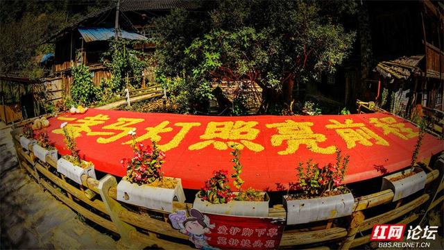 欢庆时刻丨湖南通道：芋头古侗寨藏着最浓的侗乡节日味