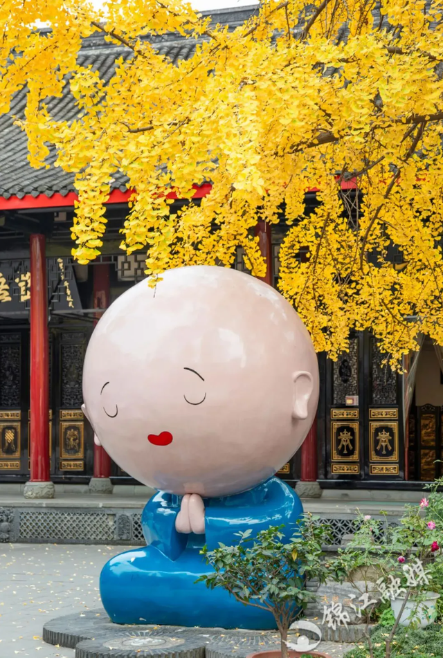 出发！来四川淘“金”