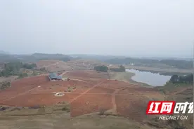 新田：深耕农旅融合产业 赋能乡村全面振兴图片