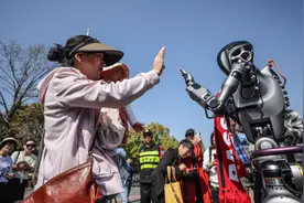 樱花季哪里拍照最好看？世纪公园人形机器人当“导游”图片