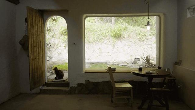 8个好友在福建抱团山居：减少物欲，尝试在山里养育下一代