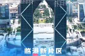 上海：结合临港新片区产业发展定位和布局特点，优化招商体制图片