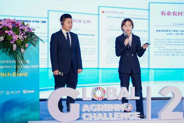 拼多多搭台，全球农创客“慧”种未来
